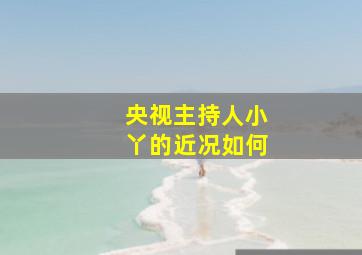 央视主持人小丫的近况如何