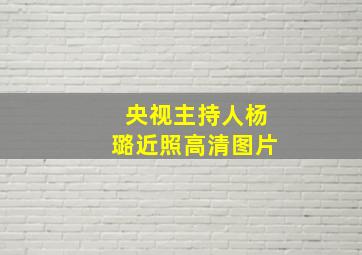 央视主持人杨璐近照高清图片