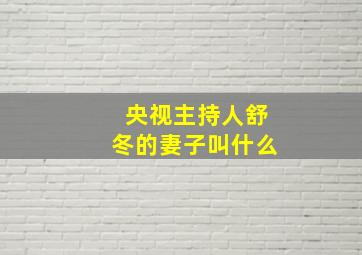 央视主持人舒冬的妻子叫什么