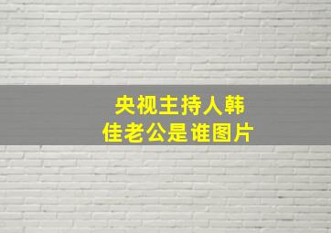 央视主持人韩佳老公是谁图片