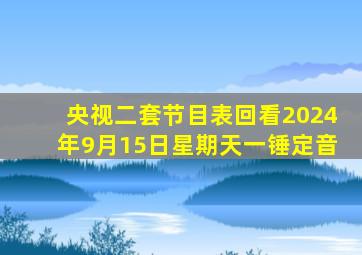 央视二套节目表回看2024年9月15日星期天一锤定音