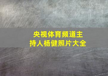 央视体育频道主持人杨健照片大全