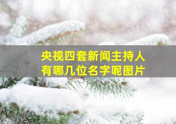 央视四套新闻主持人有哪几位名字呢图片