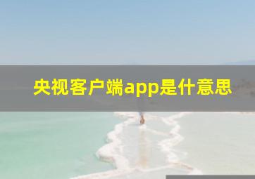 央视客户端app是什意思