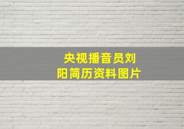 央视播音员刘阳简历资料图片