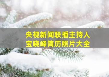 央视新闻联播主持人宝晓峰简历照片大全