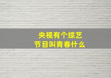 央视有个综艺节目叫青春什么