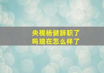 央视杨健辞职了吗现在怎么样了