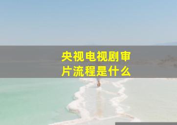 央视电视剧审片流程是什么