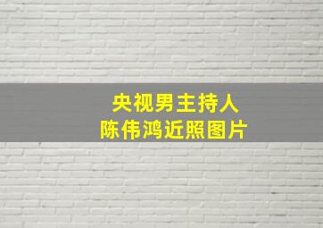 央视男主持人陈伟鸿近照图片