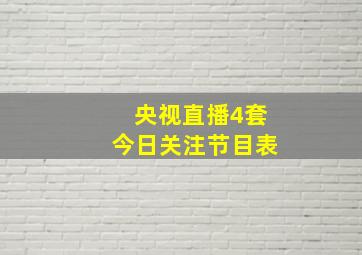 央视直播4套今日关注节目表