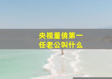 央视董倩第一任老公叫什么