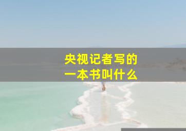 央视记者写的一本书叫什么