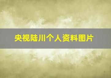 央视陆川个人资料图片