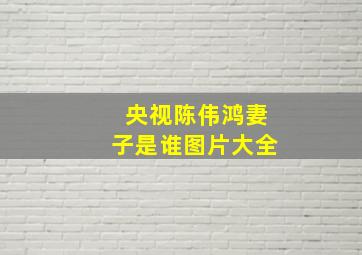 央视陈伟鸿妻子是谁图片大全