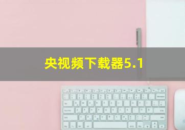 央视频下载器5.1