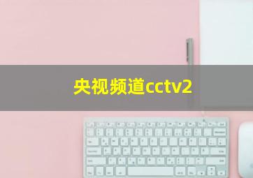 央视频道cctv2