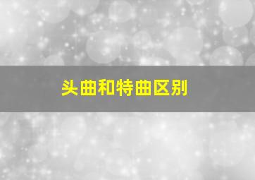 头曲和特曲区别