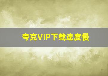 夸克VIP下载速度慢