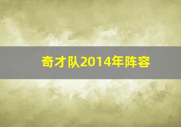 奇才队2014年阵容