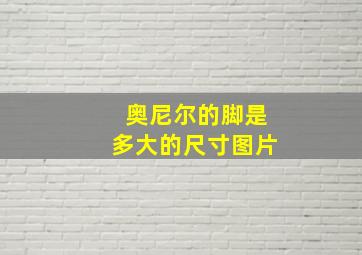 奥尼尔的脚是多大的尺寸图片