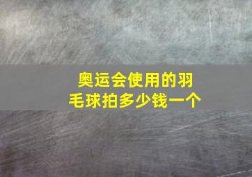 奥运会使用的羽毛球拍多少钱一个