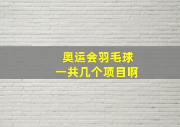 奥运会羽毛球一共几个项目啊