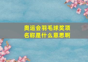 奥运会羽毛球奖项名称是什么意思啊