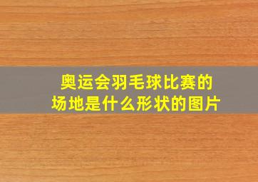 奥运会羽毛球比赛的场地是什么形状的图片