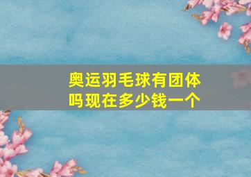 奥运羽毛球有团体吗现在多少钱一个