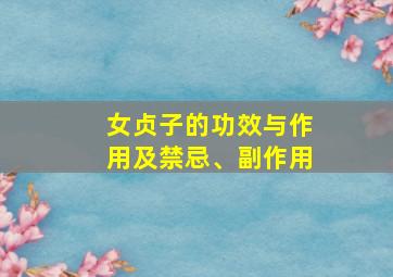 女贞子的功效与作用及禁忌、副作用