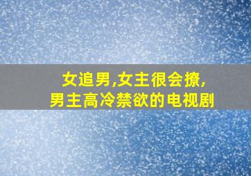 女追男,女主很会撩,男主高冷禁欲的电视剧