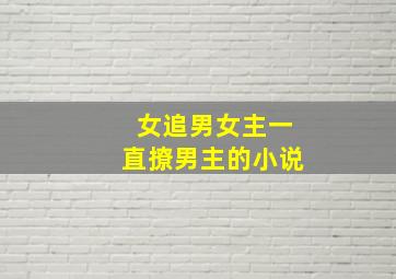 女追男女主一直撩男主的小说