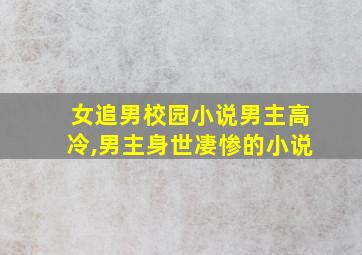 女追男校园小说男主高冷,男主身世凄惨的小说