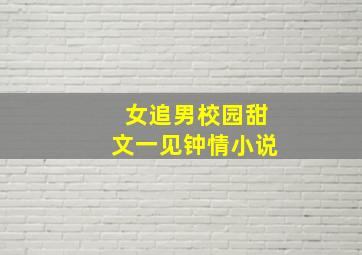 女追男校园甜文一见钟情小说