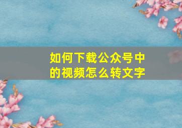 如何下载公众号中的视频怎么转文字