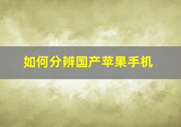 如何分辨国产苹果手机