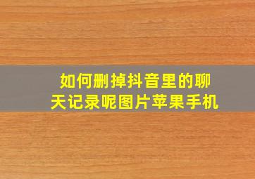 如何删掉抖音里的聊天记录呢图片苹果手机