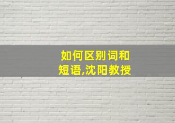 如何区别词和短语,沈阳教授