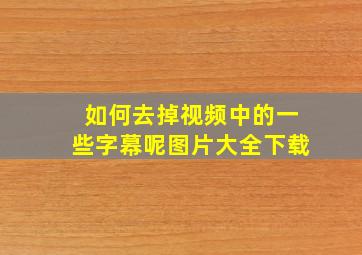 如何去掉视频中的一些字幕呢图片大全下载