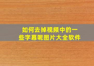 如何去掉视频中的一些字幕呢图片大全软件