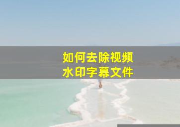 如何去除视频水印字幕文件