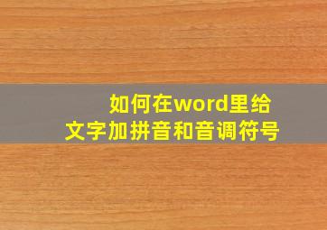 如何在word里给文字加拼音和音调符号