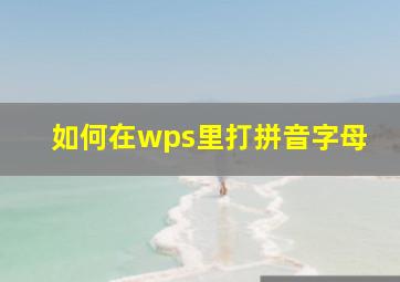 如何在wps里打拼音字母