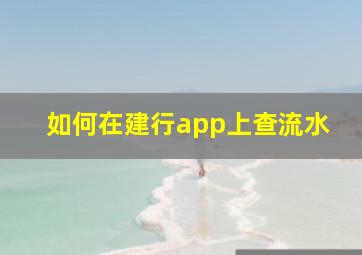 如何在建行app上查流水