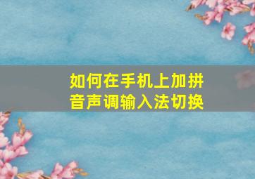 如何在手机上加拼音声调输入法切换