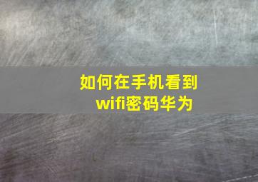 如何在手机看到wifi密码华为