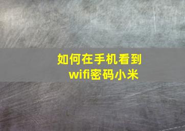 如何在手机看到wifi密码小米