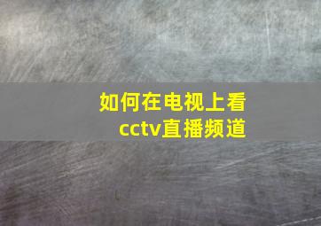 如何在电视上看cctv直播频道