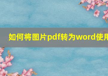 如何将图片pdf转为word使用